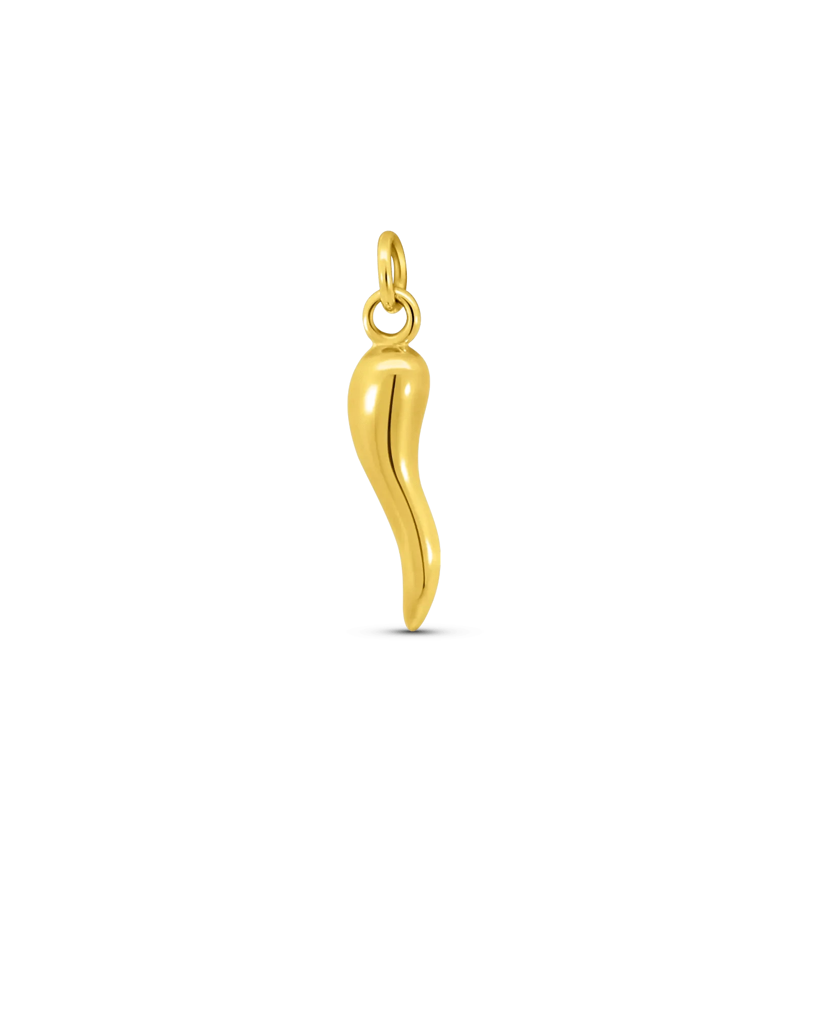 Italian Horn Charm | 10kt Yellow Gold