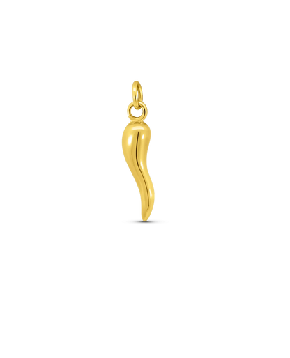 Italian Horn Charm | 10kt Yellow Gold